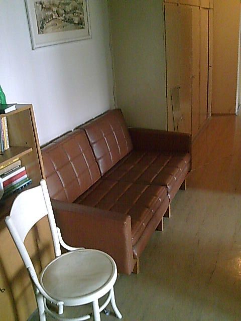 Sedačka starožitná kanceláčská rozkládací - Brusel - luxusní gauč