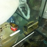 Pant skleněnné vitrínky